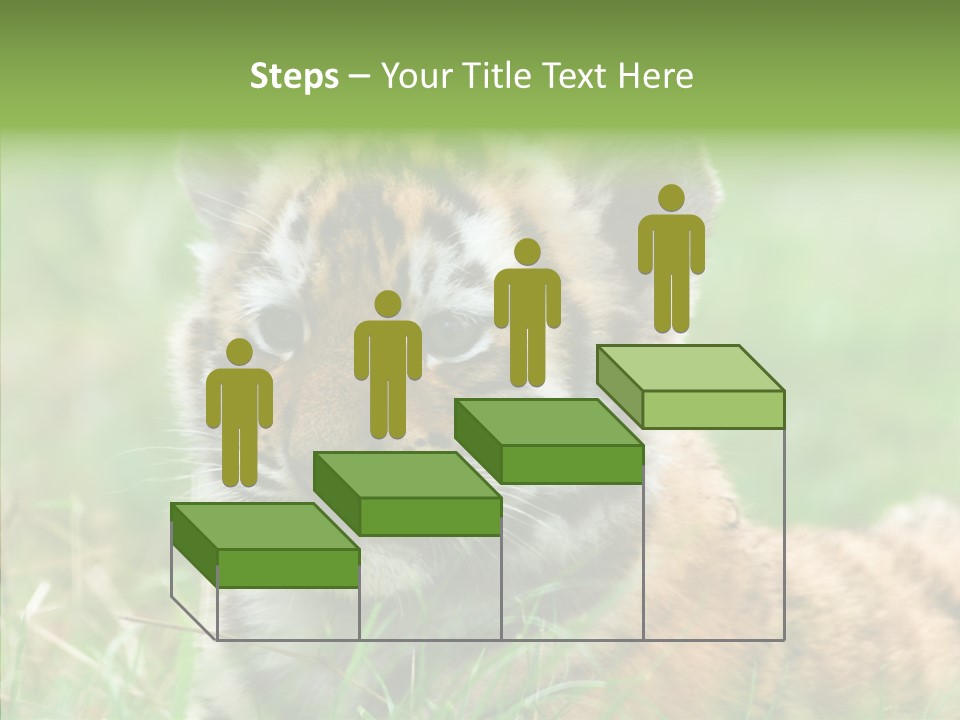 Tigris Nature White PowerPoint Template