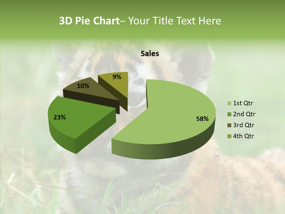 Tigris Nature White PowerPoint Template