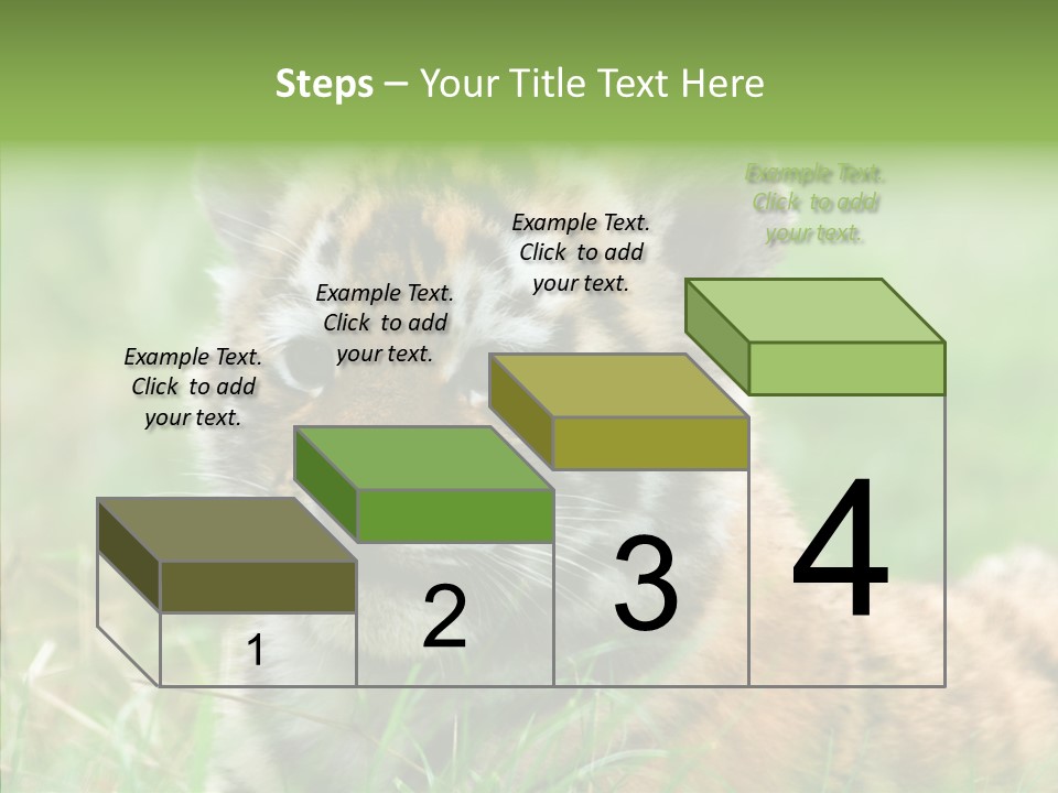 Tigris Nature White PowerPoint Template