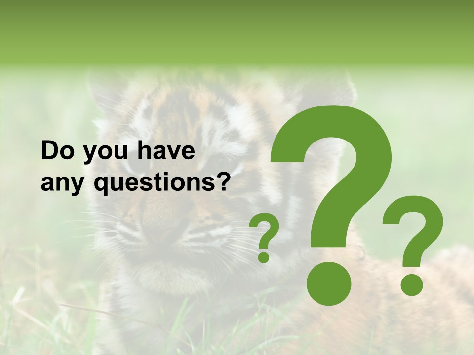 Tigris Nature White PowerPoint Template