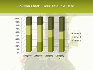 Wine Drink Harvest PowerPoint Template