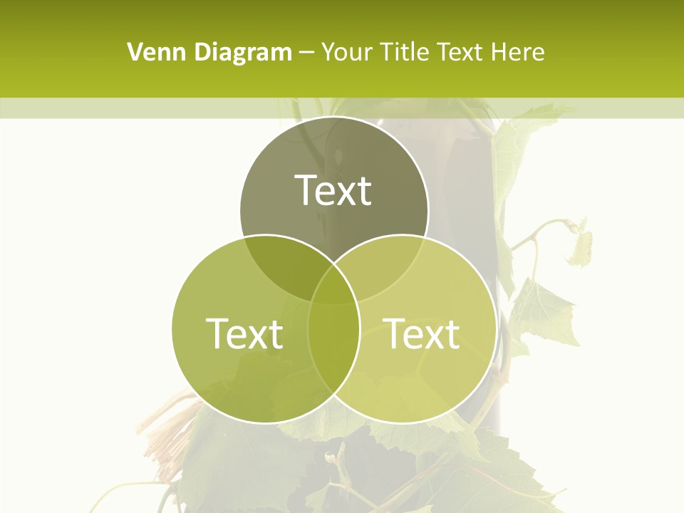 Wine Drink Harvest PowerPoint Template