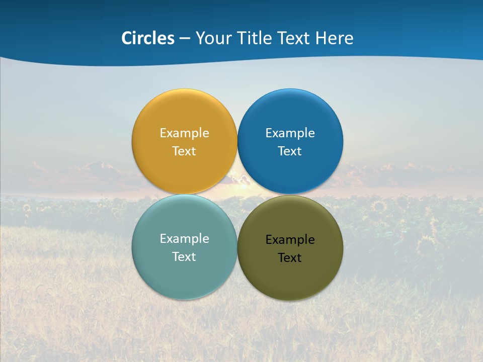 Meadow Flower Ray PowerPoint Template