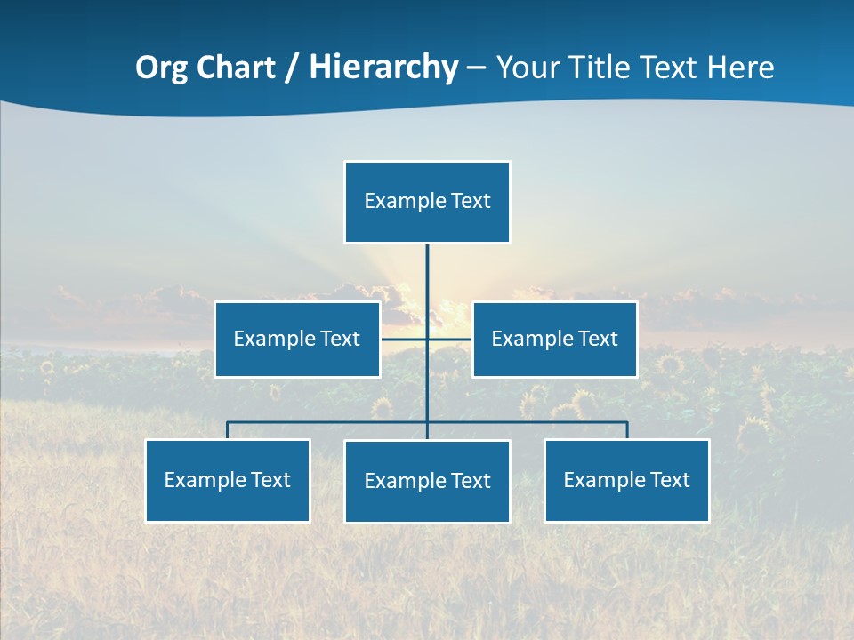Meadow Flower Ray PowerPoint Template