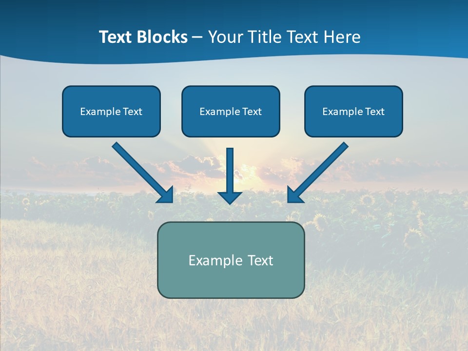 Meadow Flower Ray PowerPoint Template