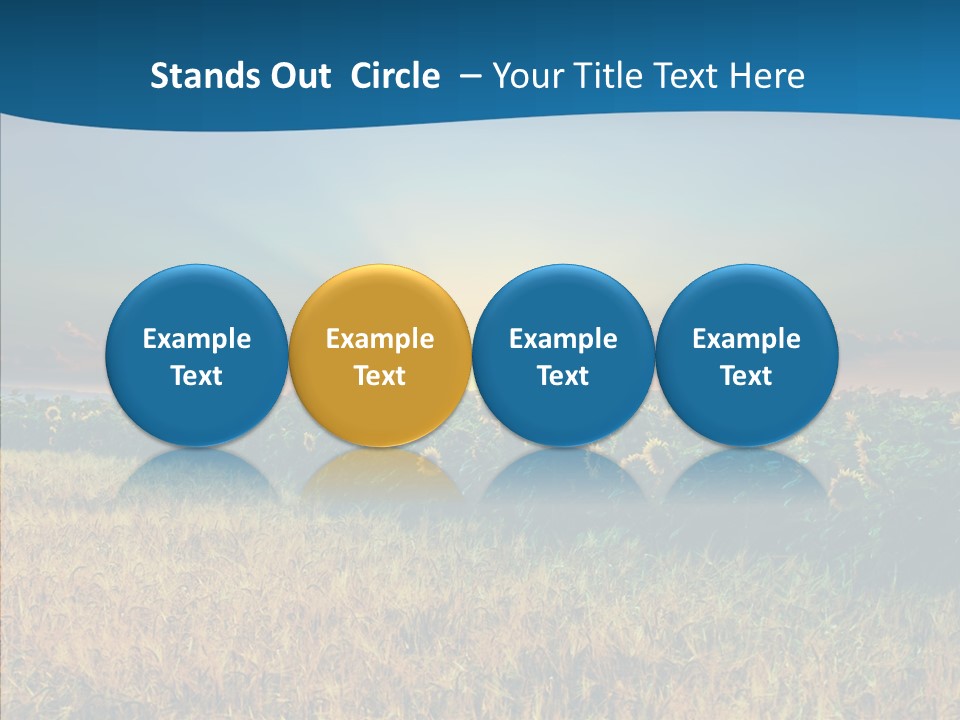 Meadow Flower Ray PowerPoint Template