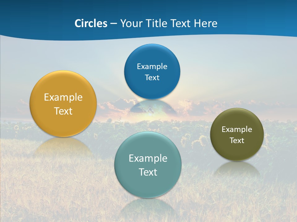 Meadow Flower Ray PowerPoint Template