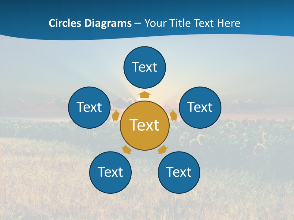 Meadow Flower Ray PowerPoint Template