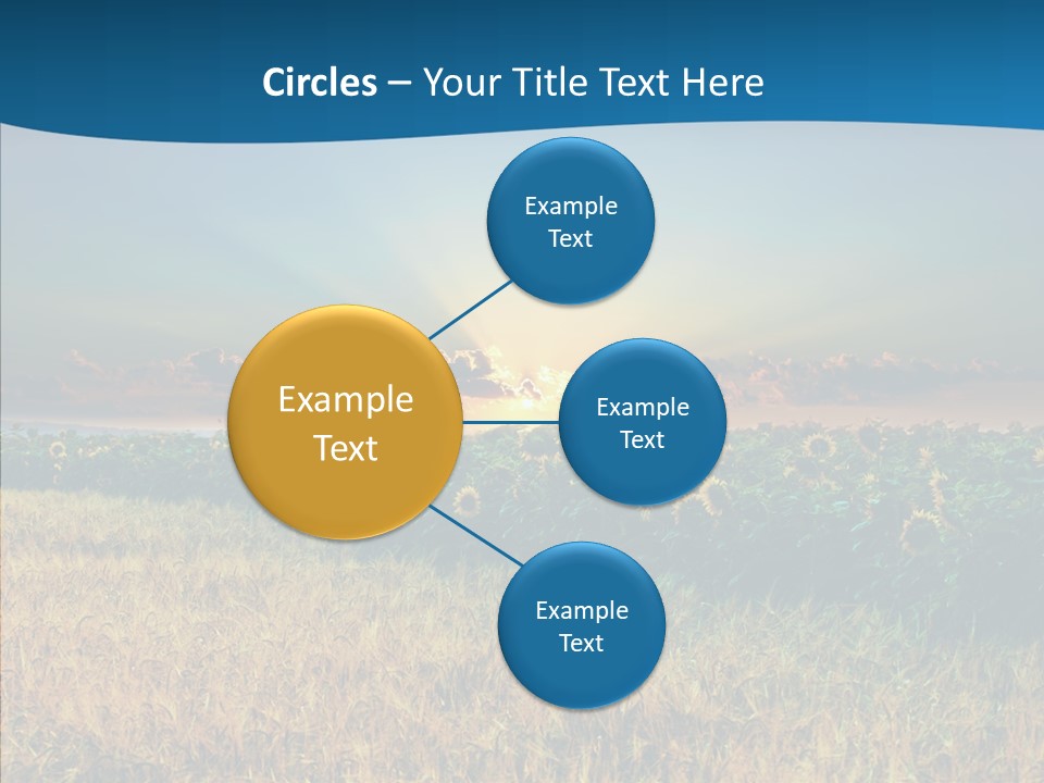 Meadow Flower Ray PowerPoint Template