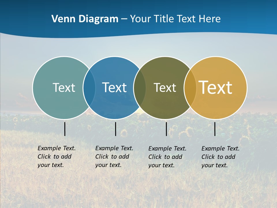 Meadow Flower Ray PowerPoint Template