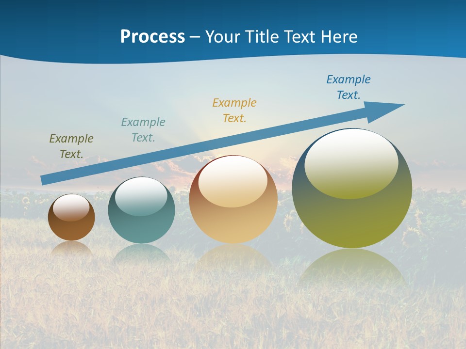 Meadow Flower Ray PowerPoint Template