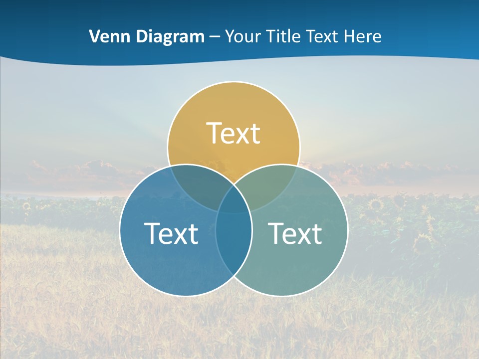 Meadow Flower Ray PowerPoint Template