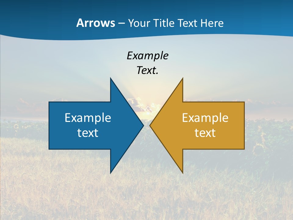 Meadow Flower Ray PowerPoint Template