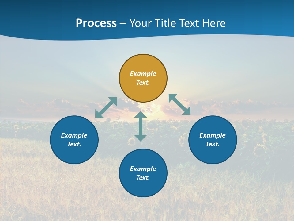 Meadow Flower Ray PowerPoint Template
