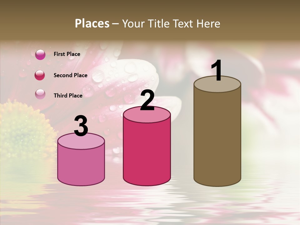 Pretty Blossoming Daisies PowerPoint Template