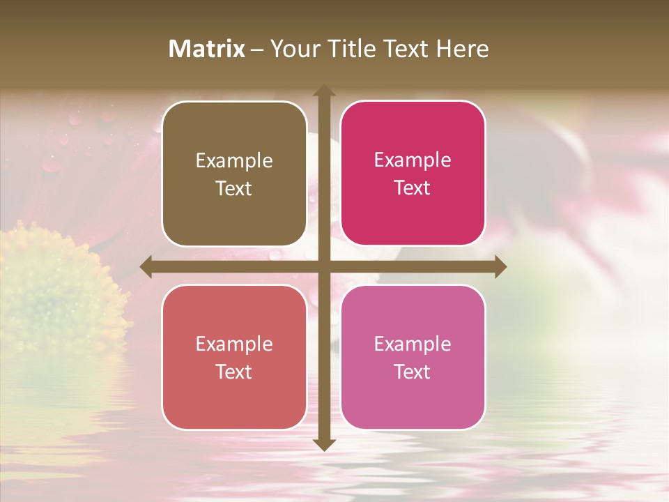 Pretty Blossoming Daisies PowerPoint Template