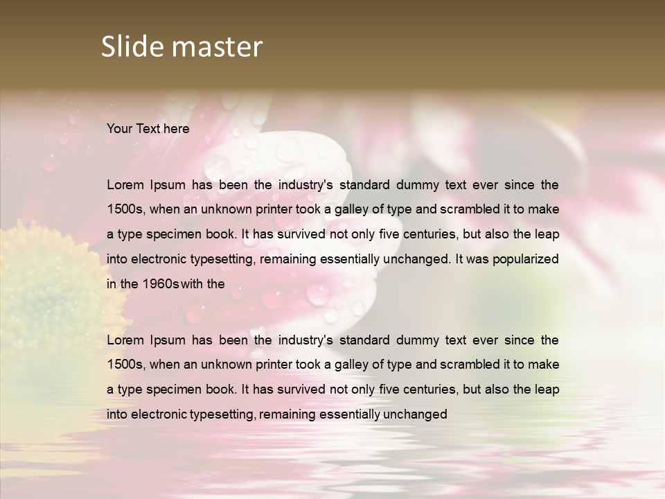 Pretty Blossoming Daisies PowerPoint Template