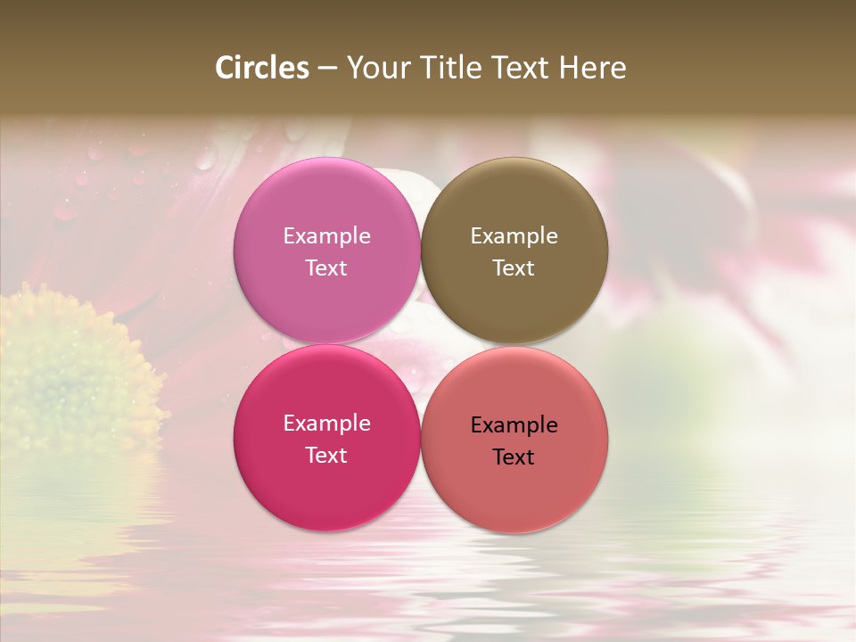 Pretty Blossoming Daisies PowerPoint Template