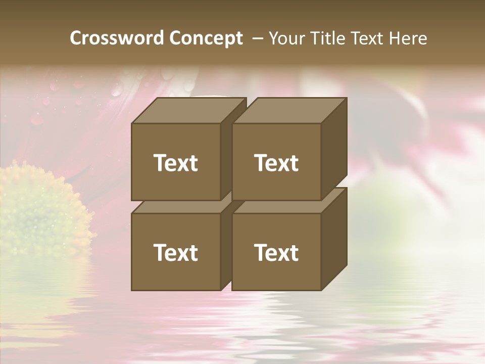 Pretty Blossoming Daisies PowerPoint Template