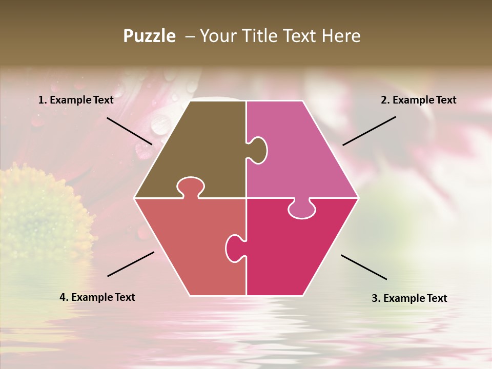 Pretty Blossoming Daisies PowerPoint Template