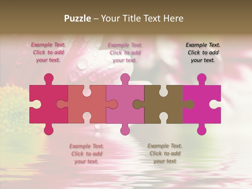 Pretty Blossoming Daisies PowerPoint Template