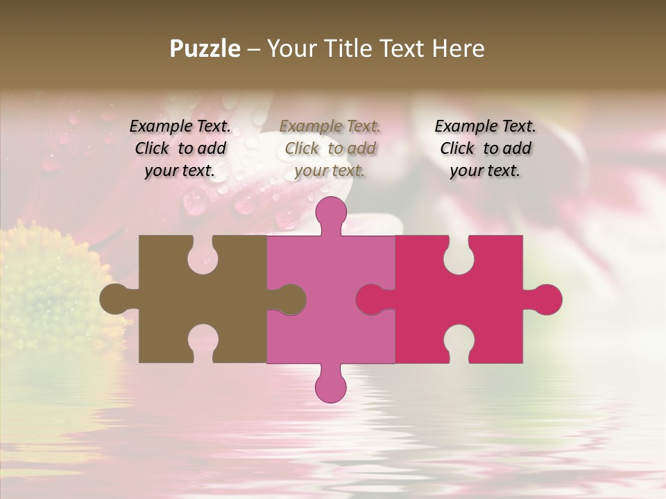 Pretty Blossoming Daisies PowerPoint Template