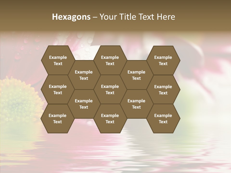 Pretty Blossoming Daisies PowerPoint Template