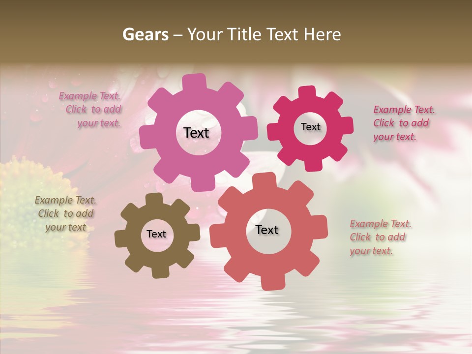 Pretty Blossoming Daisies PowerPoint Template