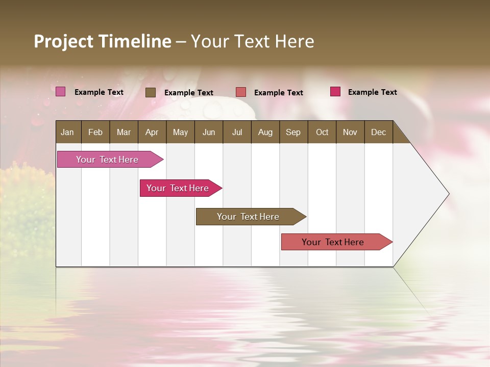 Pretty Blossoming Daisies PowerPoint Template