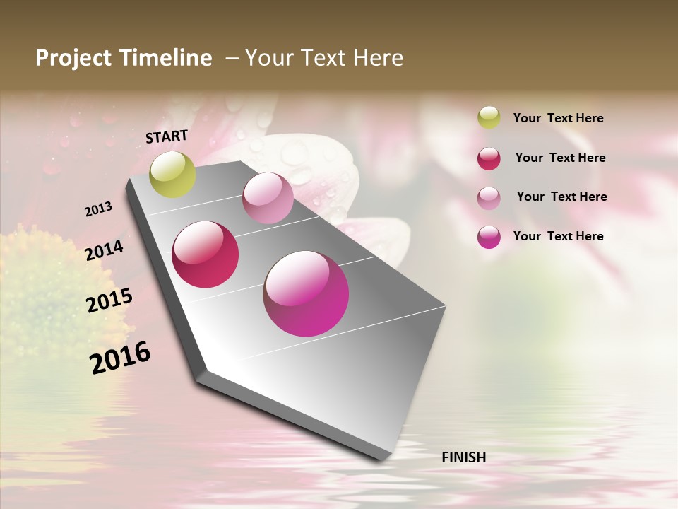 Pretty Blossoming Daisies PowerPoint Template