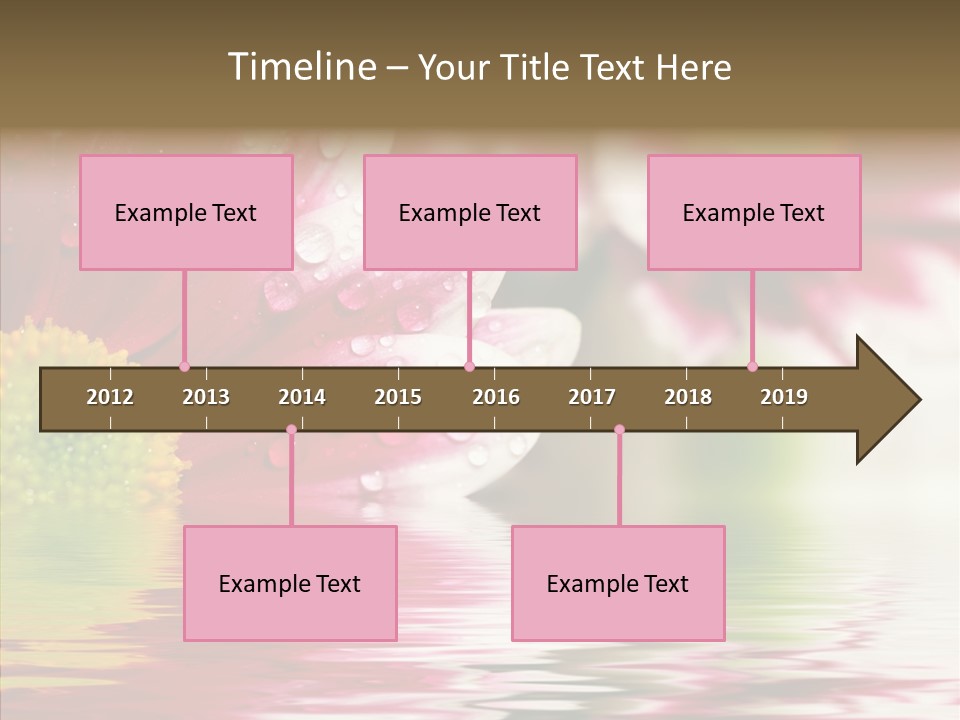 Pretty Blossoming Daisies PowerPoint Template
