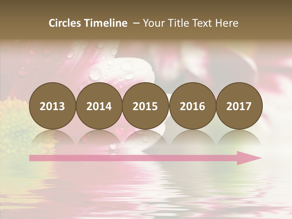 Pretty Blossoming Daisies PowerPoint Template