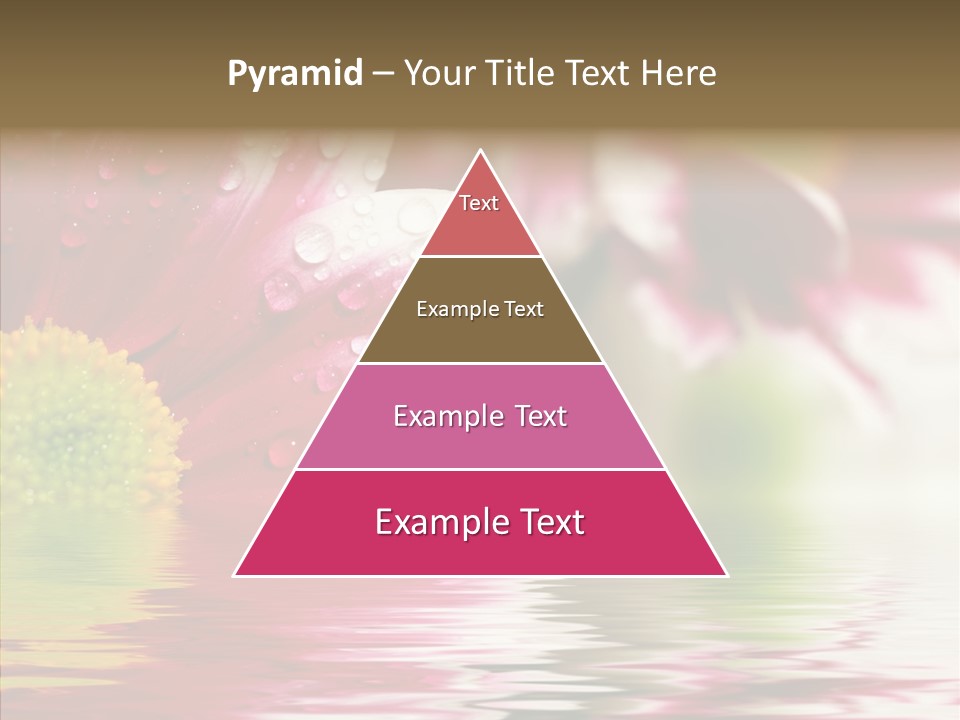 Pretty Blossoming Daisies PowerPoint Template