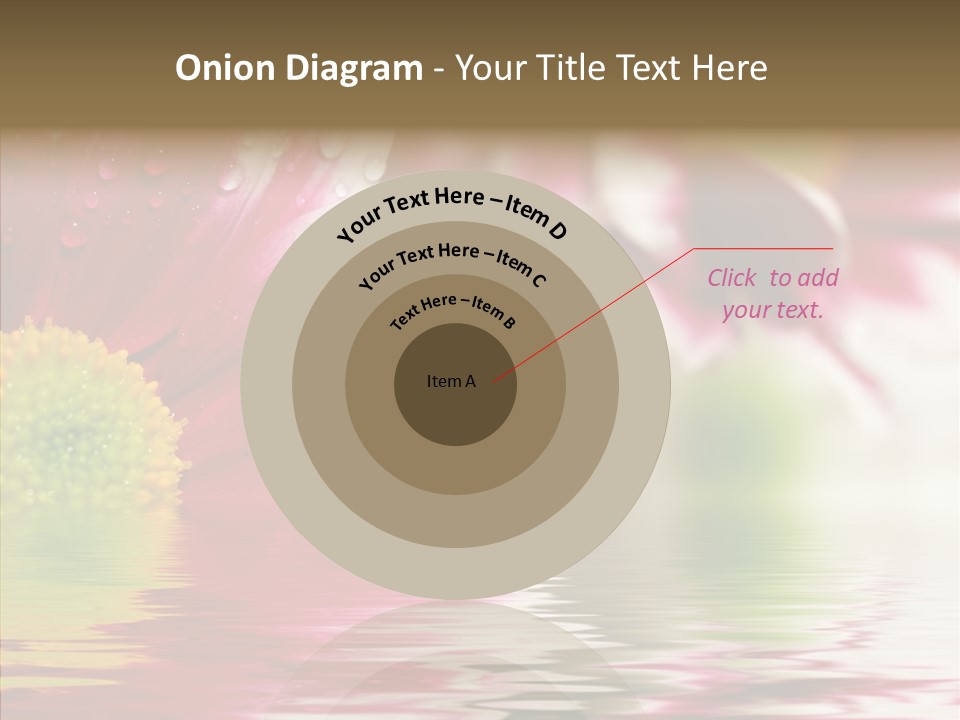 Pretty Blossoming Daisies PowerPoint Template