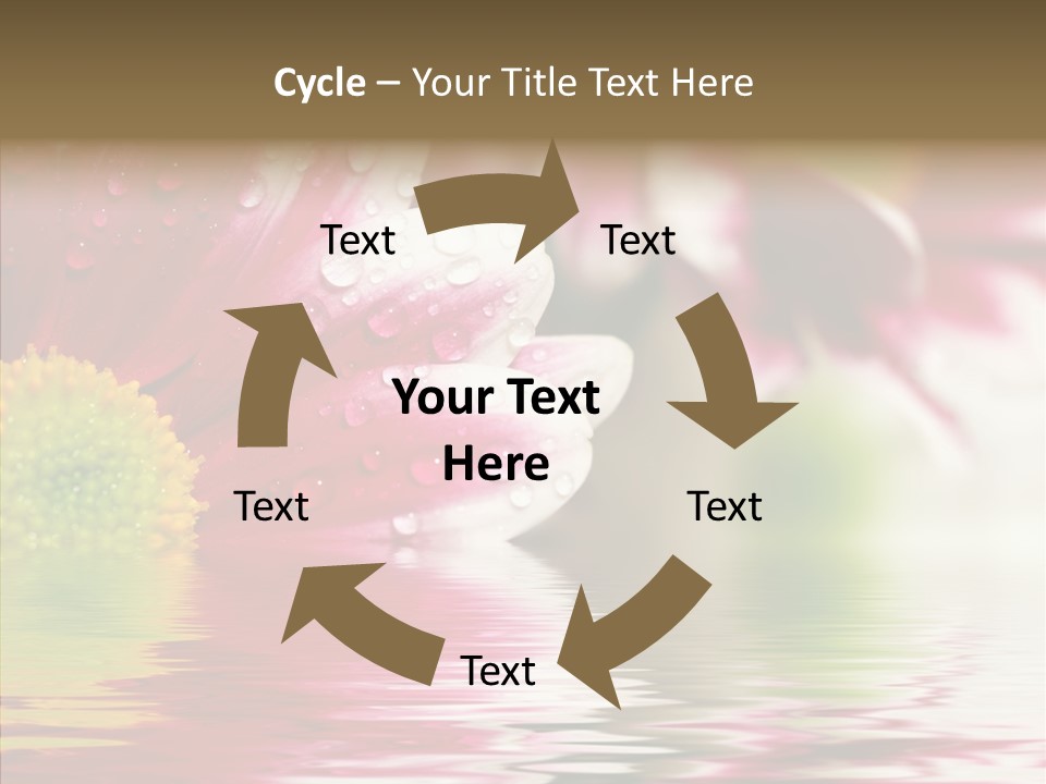 Pretty Blossoming Daisies PowerPoint Template