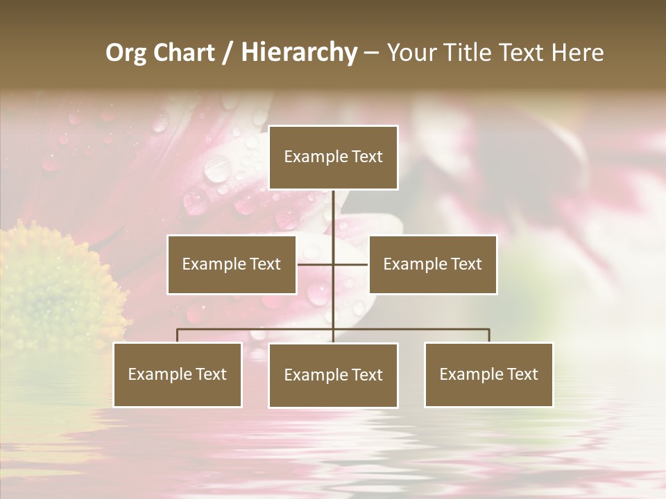 Pretty Blossoming Daisies PowerPoint Template