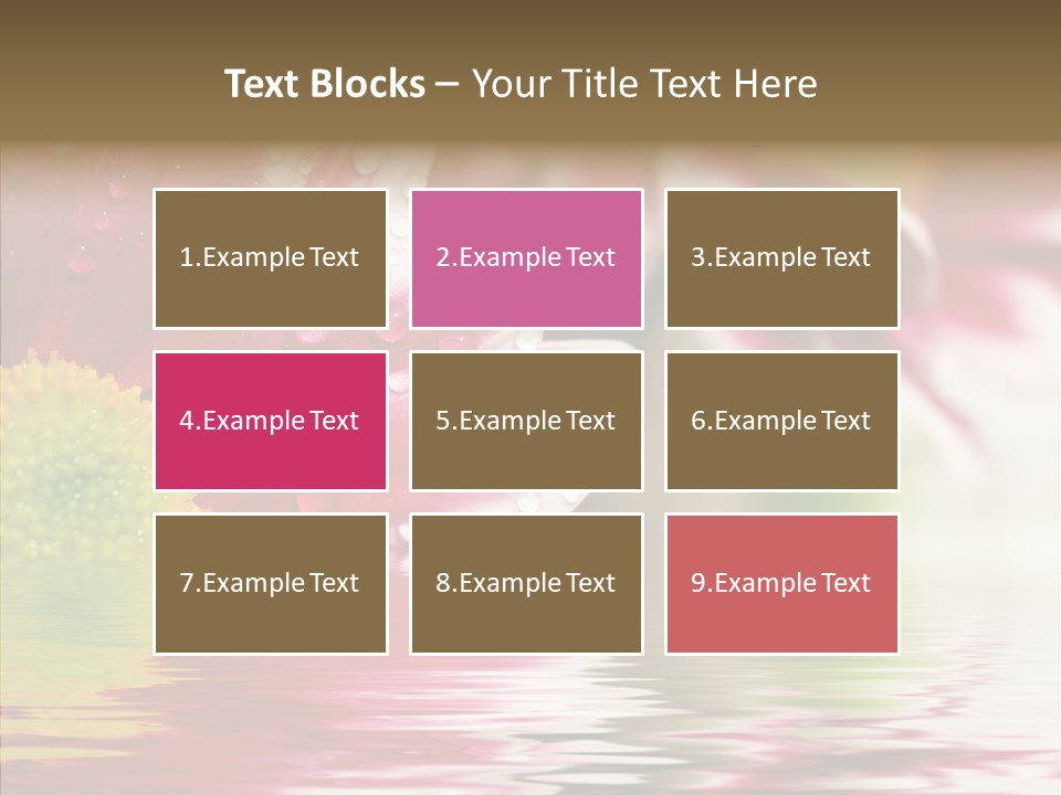 Pretty Blossoming Daisies PowerPoint Template