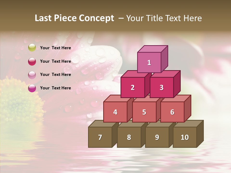 Pretty Blossoming Daisies PowerPoint Template