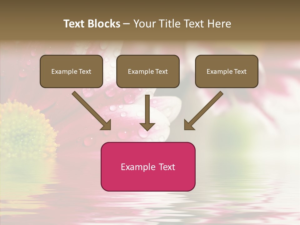 Pretty Blossoming Daisies PowerPoint Template