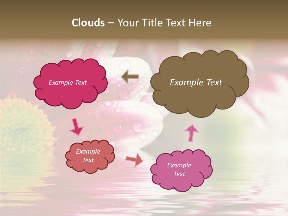 Pretty Blossoming Daisies PowerPoint Template