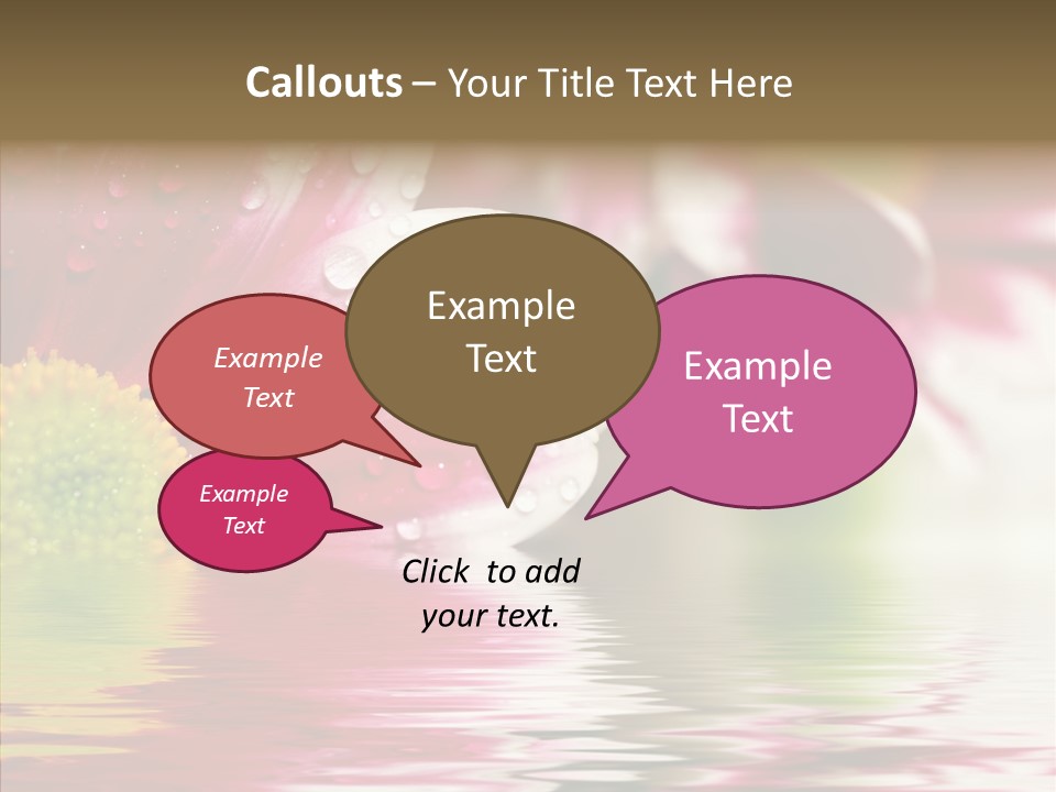 Pretty Blossoming Daisies PowerPoint Template