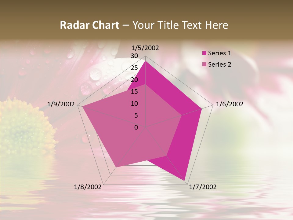 Pretty Blossoming Daisies PowerPoint Template
