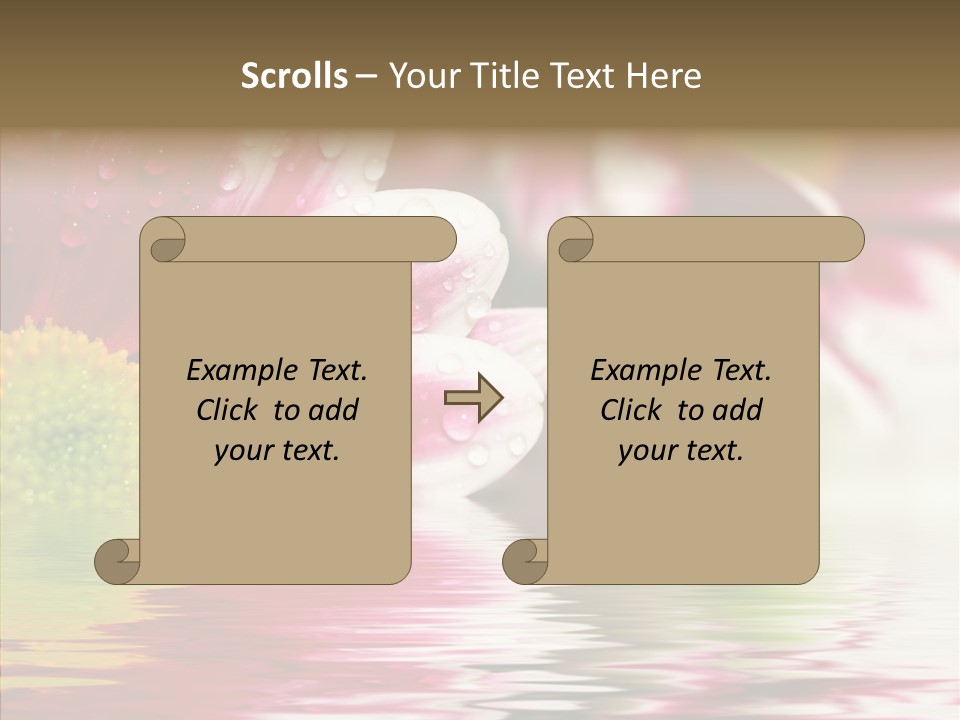 Pretty Blossoming Daisies PowerPoint Template