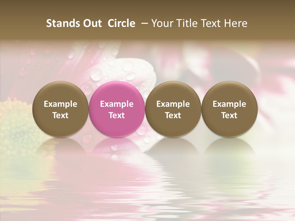 Pretty Blossoming Daisies PowerPoint Template