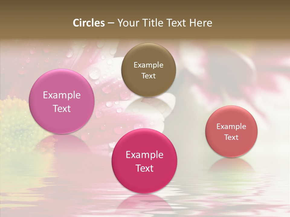 Pretty Blossoming Daisies PowerPoint Template