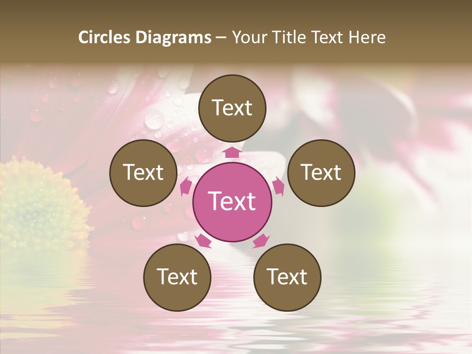 Pretty Blossoming Daisies PowerPoint Template