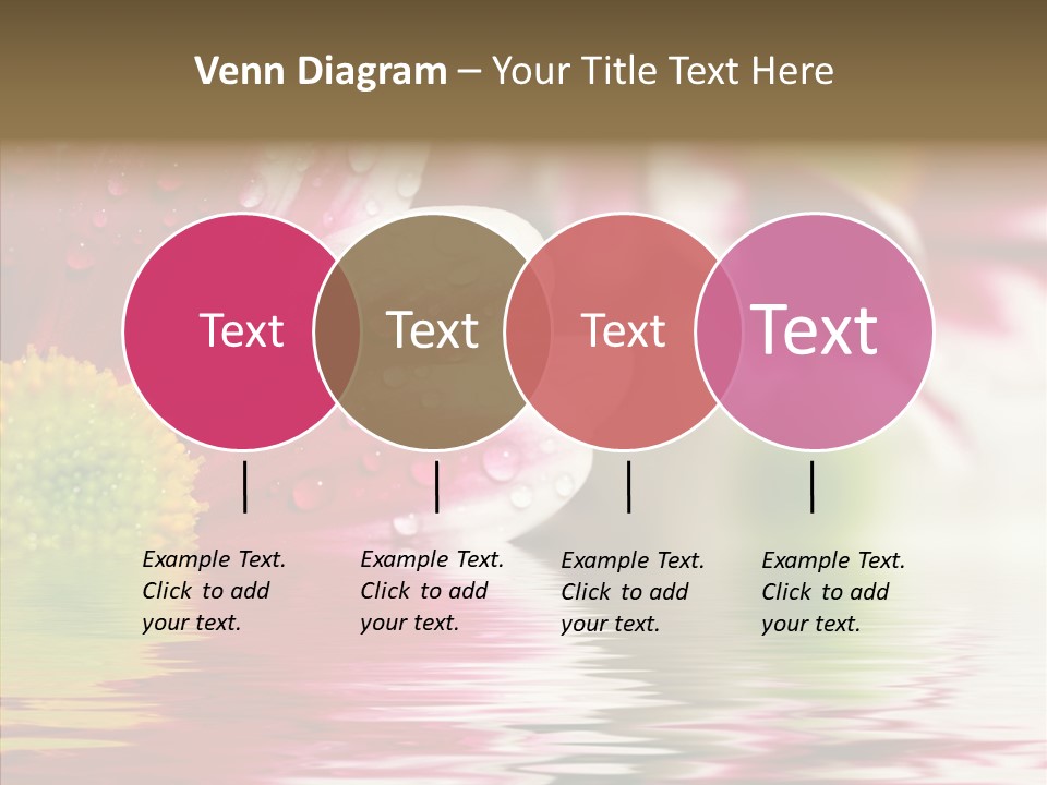 Pretty Blossoming Daisies PowerPoint Template