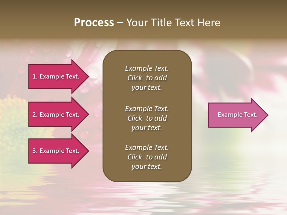 Pretty Blossoming Daisies PowerPoint Template