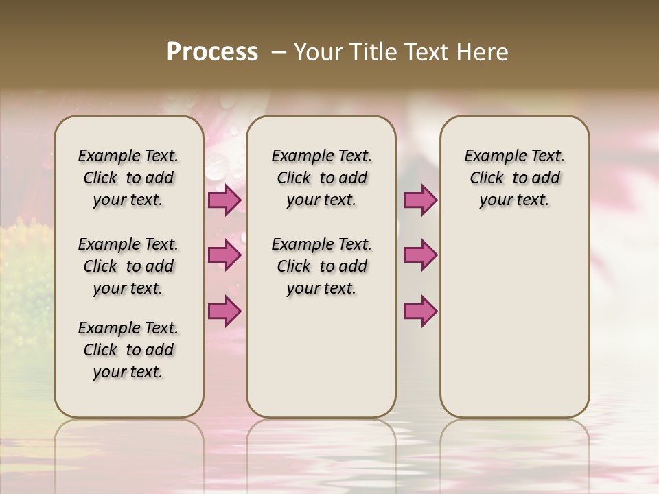 Pretty Blossoming Daisies PowerPoint Template
