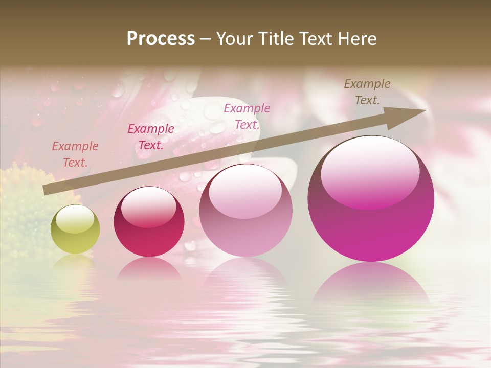 Pretty Blossoming Daisies PowerPoint Template